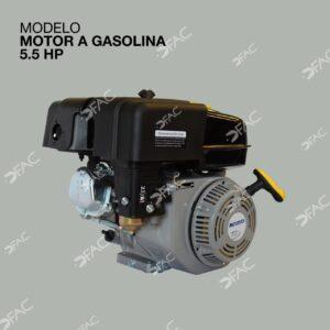 MOTOR-A-GASOLINA-5.5HP-1