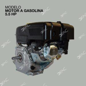 MOTOR-A-GASOLINA-5.5HP-2