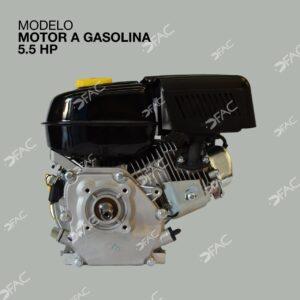 MOTOR-A-GASOLINA-5.5HP-3