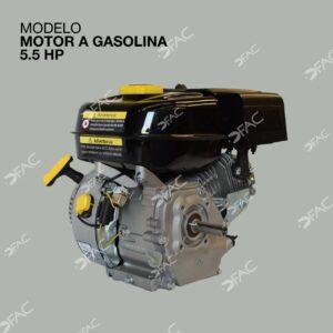 MOTOR-A-GASOLINA-5.5HP-4